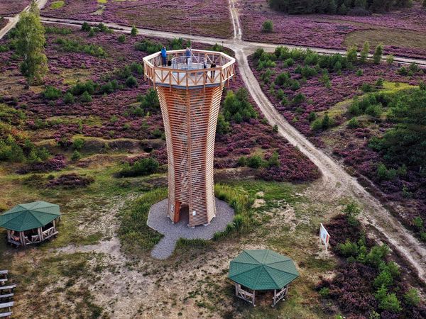 Blick auf den Aussichtsturm in der Kyritz-Ruppiner Heide.