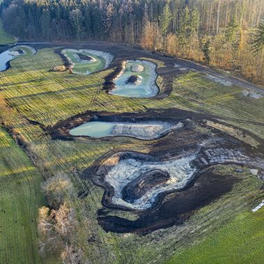 Ende November 2020 sind die fünf neuen Weiher schon gut zu erkennen.