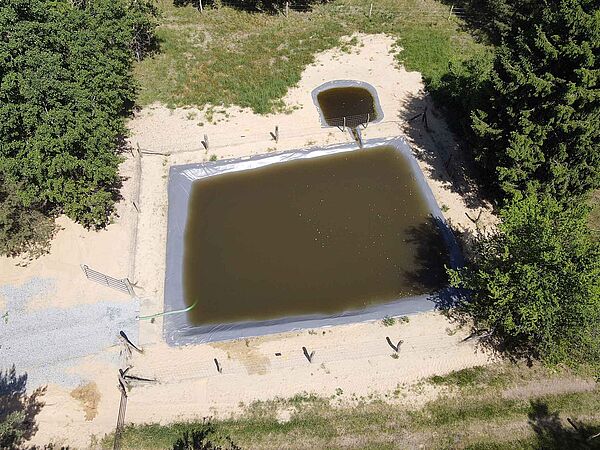 Wiederhergestellter Löschteich in der Döberitzer Heide.
