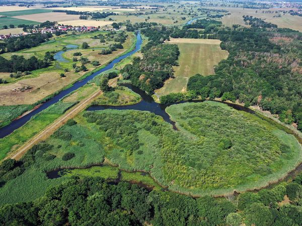 Luftbildaufnahme des begradigten Flusses Schwarze Elster. Rechts davon ist ein abgeschnittener Mäander, der teilweise mit Wasser gefüllt ist. Innenfläche des Mäanders ist Grünland.