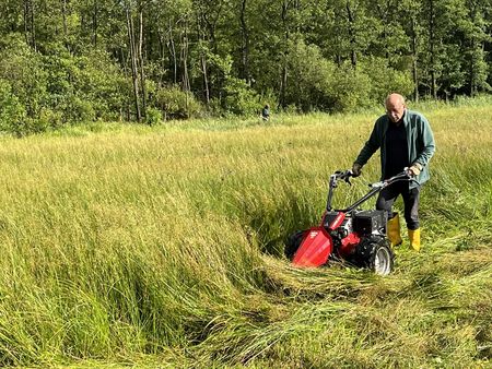 Mann schiebt einen Einachsbalkenmäher über eine Orchideenwiese