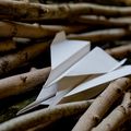 Papierflugzeug liegt auf Ästen