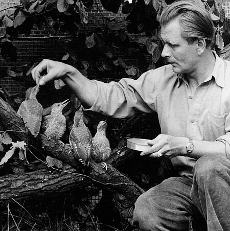 Heinz Sielmann füttert Grünspechte