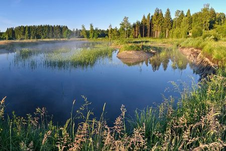 Weiher in Ruhestetten