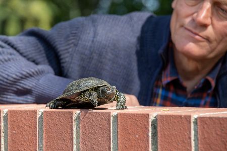 Dr. Norbert Schneeweiß mit Sumpfschildkröte