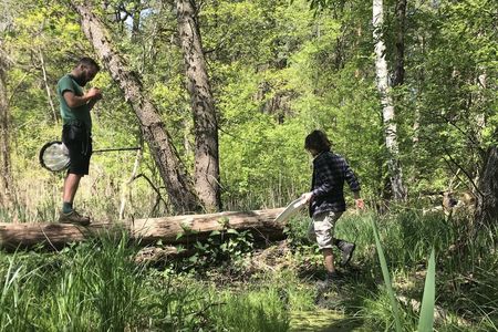 Junge Erwachsene durch Landschaft mit umgekippten Birken und Wasser