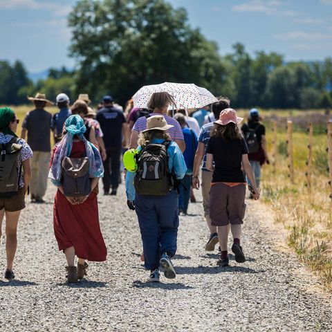 Menschen auf dem Wanderweg in der Biotop-Landschaft am Flüthewehr in Göttingen