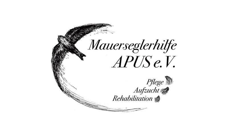 Logo der Mauerseglerhilfe APUS e. V.