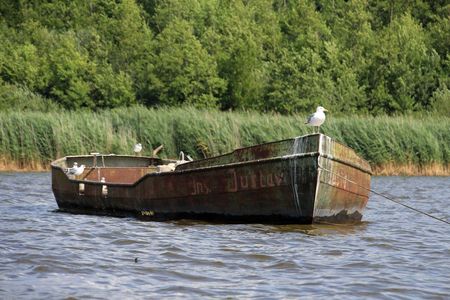 Ein altes verrostetes Boot liegt auf einem See vor einem schilfbewachsenen Ufer, eine weiße Möwe sitzt auf dem Bug und hält Ausschau.