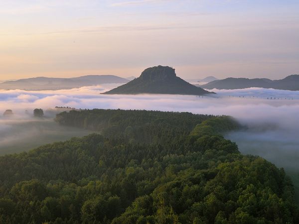 Elbsandstein, Sächsische Schweiz, Aussichtspunkt Kleiner Bärenstein, Nebel, Morgennebel, Lilienstein, Naturwunderwahl 2023.