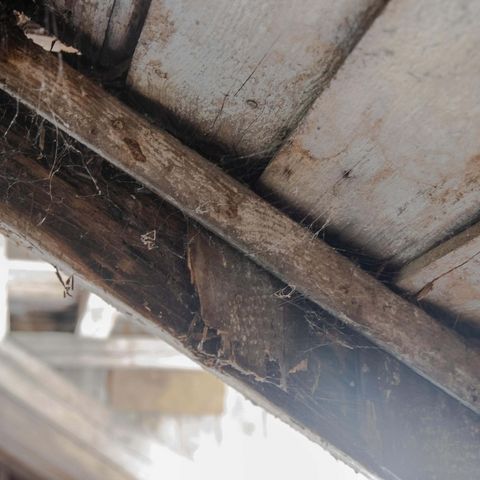 Reparaturbedürftiger Dachstuhl der Vogelstation Rybachy