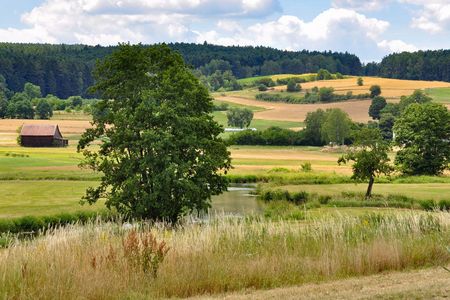hügelige, reich strukturierte Kulturlandschaft mit Wiesen, Feldern, Hecken, Solitärbäumen und einem Fließgewässer, im Hintergrund im bergigen Land Nadelwald.