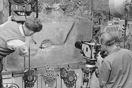 Irenäus Eibl-Eibesfeldt und Heinz Sielmann mit Filmequipment vor einem künstlichen Hamsterbau