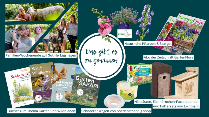 Collage mit den Gewinnspielpreisen der Gartentierwahl 2026