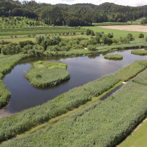 Weiher, der nach Heinz Sielmann benannt wurde, umrandet von grüner Landschaft