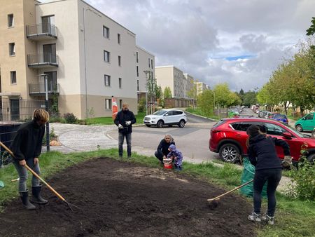 Pflanzaktion des BUND Dresden 