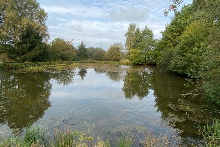 Teiche in Dieterskirchen