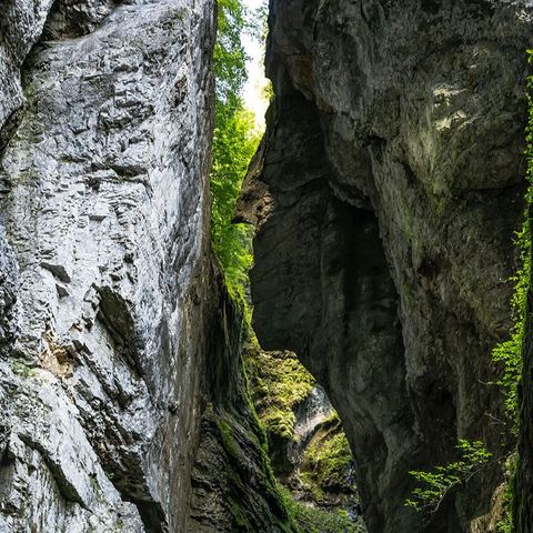 zwei Felswände stehen sich gegenüber, die rechte erinnert im Profil an ein Gesicht