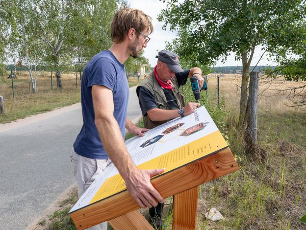 Ein junger Mann im blauen T-Shirt und blonden Haaren hält mit beiden Armen eine große Infotafel fest, die auf einem schrägen Holzgestell liegt, damit ein älterer Mann mit grauem Basecap die Tafel mit dem Akkuschrauber befestigen kann.