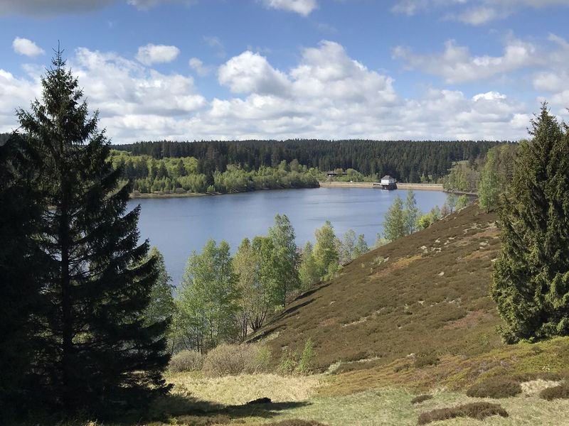 Talsperre im Harz See umringt von Nadelbäumen, am blauen Himmel ziehen weiße Wolken