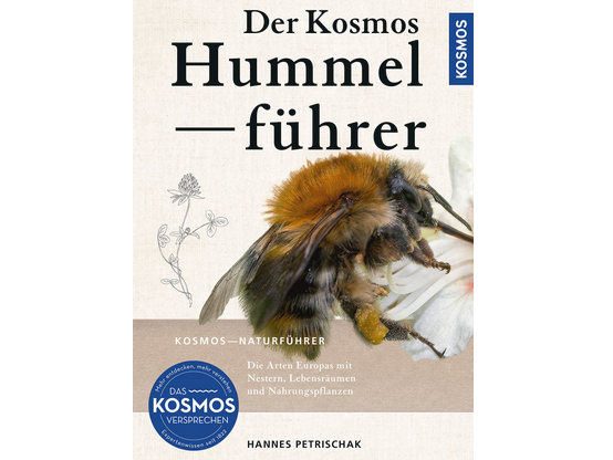 Buch mit einer Hummel auf dem Titel