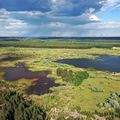 Drohnenaufnahme von Sielmanns Naturlandschaft Wanninchen mit Seen und Bäumen von oben