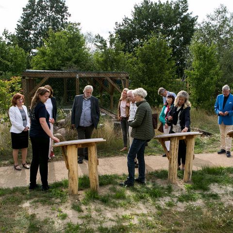 Betriebsausflug in Sielmanns Naturlandschaft Wanninchen