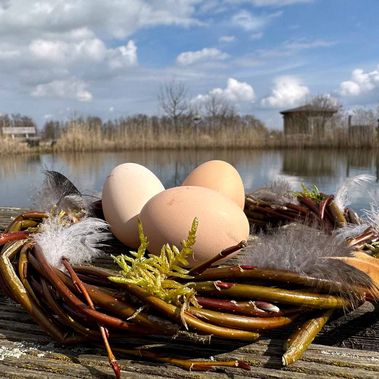 Ein Osternest mit Vogeleiern