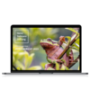 Laptop mit Jahresbericht 2023 der Heinz Sielmann Stiftung mit Froschmotiv