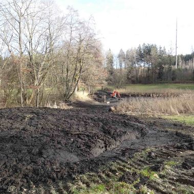 Bagger vertiefen den Schlauchweiher bei Wangen. Foto: Armin Woll