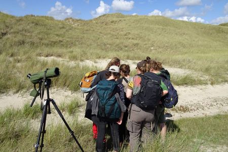 Jugendgruppe inspiziert gemeinsam etwas bei ihrer Wanderung in Amrun