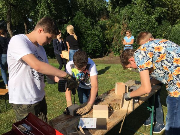 Die Schüler des Gymnasium Leoninum in Handrup bauen Insektenhotels zusammen. Foto: Nora Künkler