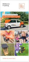 Flyer mit 5 verschiedenen kleinen Motiven zum Thema Wildbienen, u.a. ein kleiner Minivan mit oranger Beklebung 