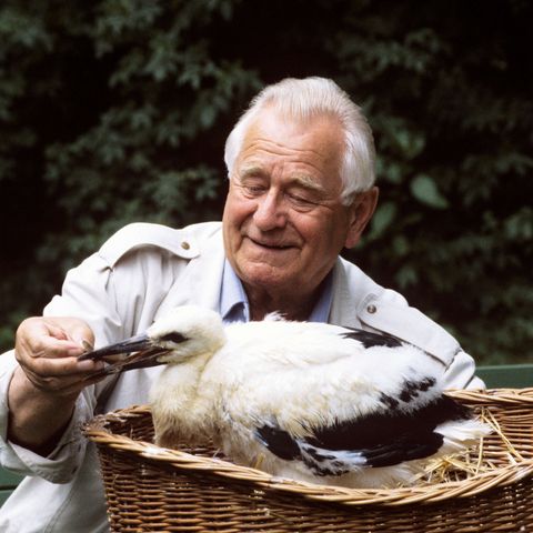 Heinz Sielmann 2005 zu Besuch im Wildpark Eekholt und füttert einen Storch