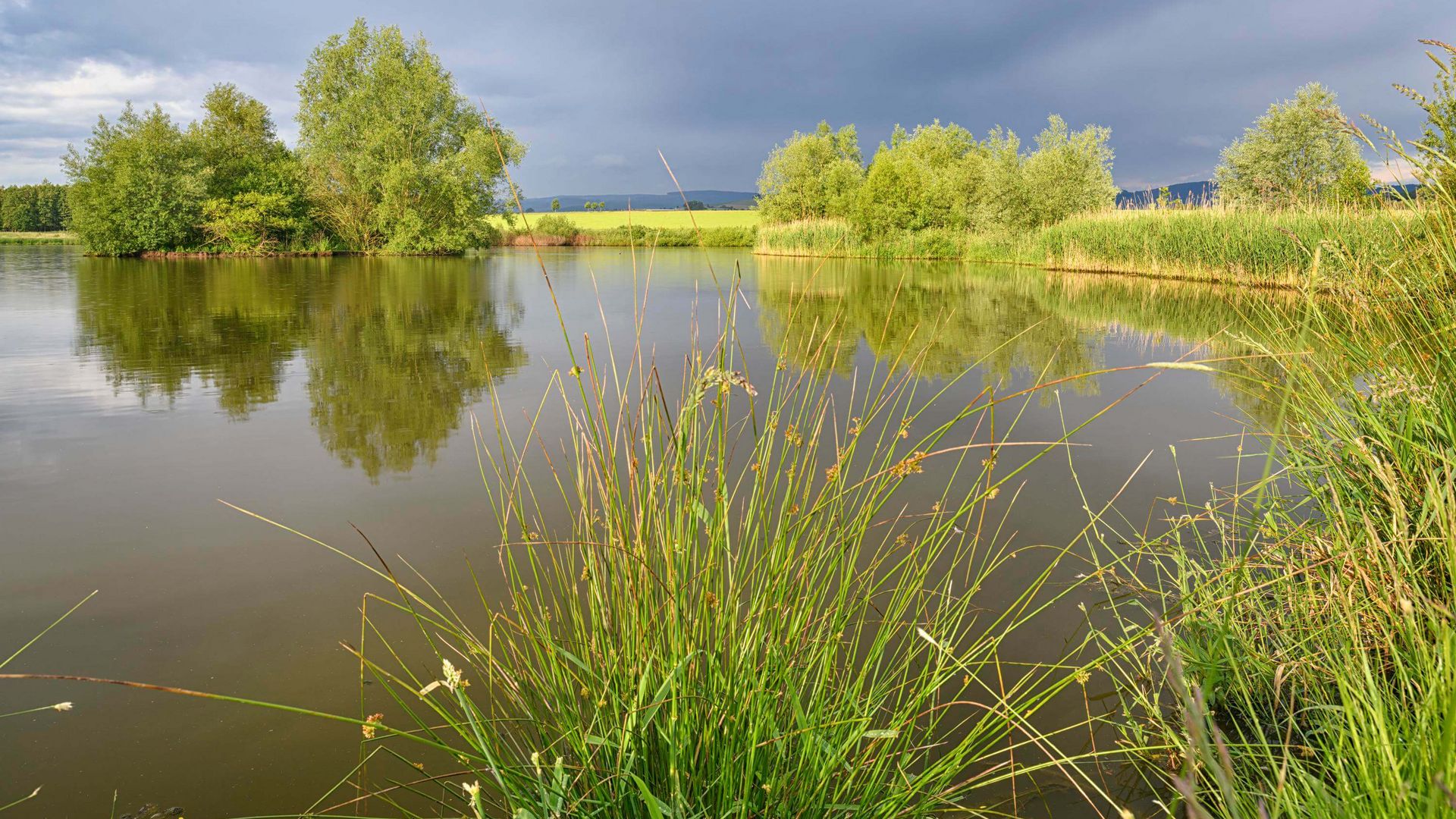 Gewässer im Nettetal