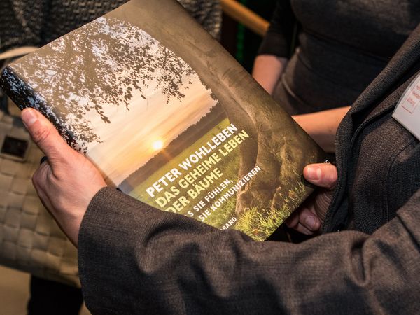 Das geheime Leben der Bäume - Peter Wohllebens Bestseller. (Foto: Tanja M. Marotzke)