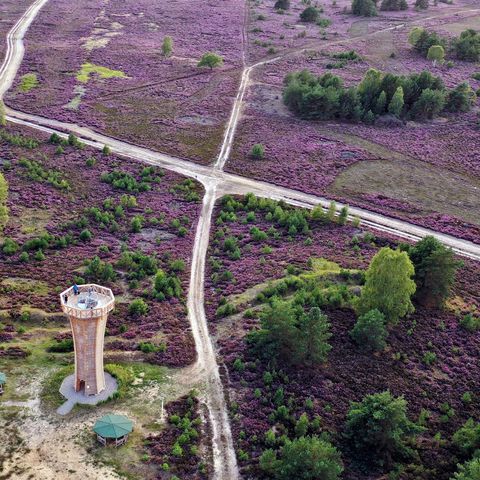 Drohnenaufnahme der Kyritz-Ruppiner Heide