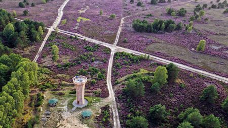 Drohnenaufnahme der Kyritz-Ruppiner Heide