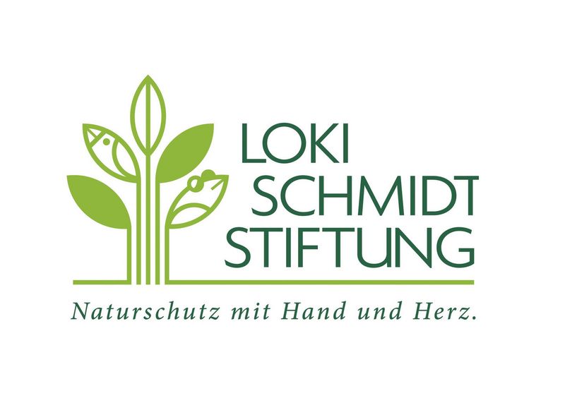 Logo der Loki Schmidt Stiftung