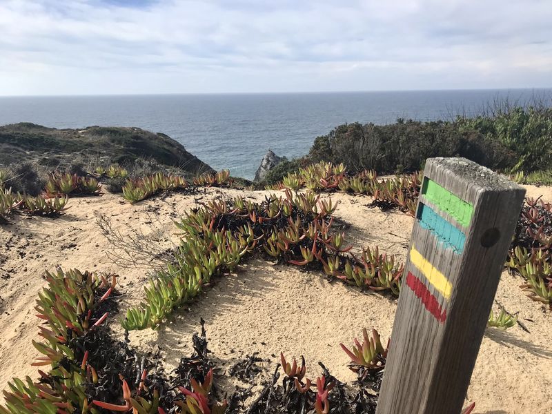 Wanderzeichen Fischerweg Holzpfahl mit bunter Markierung als Zeichen für den Fischerweg in Portugal