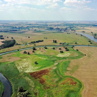 Zusammenfluss der beiden Flüsse Elbe und Schwarze Elster aus der Vogelperspektive. Im Vordergrund Grün- und Landwirtschaftsflächen. Im Hintergrund Horizont mit blauem Himmel und vereinzelten Wolken.