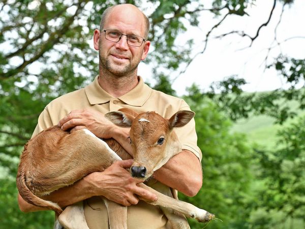 Zebu Neugeborenes bei Landstreicher Henrik Dzeia auf dem Arm