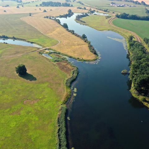 Flussgabelung