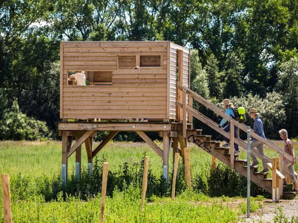 Eine viereckige Holzkonstruktion, die auf Stelzen rund 2 Meter über dem Boden steht. Eine Holztreppe führt zu dem Unterstand hinauf. Kleine Öffnungen geben den Blick auf die Biotopfläche frei.