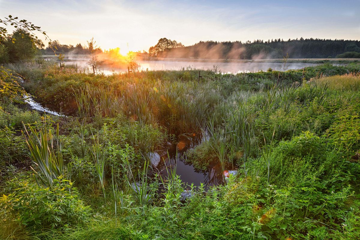 Auszeichnung „Beispielhaftes Bauen“ für Weiher im Ruhestetter Ried