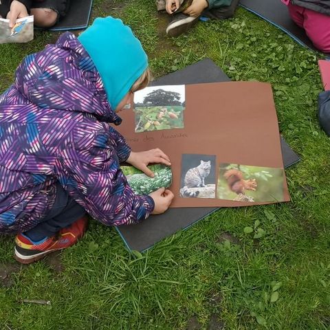 Kind bastelt an Collage über Tiere im Wald